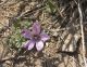 Mizpe Ramon 2012.03.23.jpg