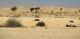 Desert Negev. 2012.03.23.jpg