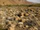 Dead Sea Region_6 24.03.2012.jpg
