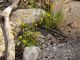 Dead Sea Region_5 24.03.2012.jpg