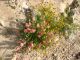 Dead Sea. Qumran_5  24.03.2012.jpg