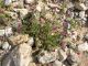 Dead Sea. Qumran_6  24.03.2012.jpg