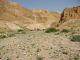 Dead Sea. Qumran_8  24.03.2012.jpg