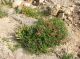 Dead Sea. Qumran_9 24.03.2012.jpg