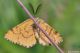 DSC_8791pbase.jpg