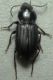 DSCN9004 - Copia.JPG