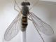 sopra_2012-03-28-14.30.13-ZS-PMax.jpg