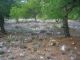 CIMG0729 (640x480).jpg