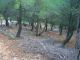 CIMG0731 (640x480).jpg