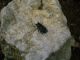 CIMG0881 (640x480).jpg