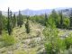 CIMG1089 (800x600) (640x480).jpg