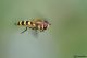 DSC_9249pbase.jpg