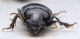 DSCN9460.JPG
