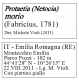 cartellino3.png