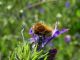 DSCN3060.JPG