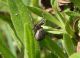 DSCN3283.JPG