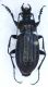 P1220276_.JPG