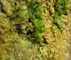 Framura SP 31-03-12 096b.jpg