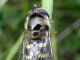 DSCN3407.JPG