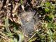 DSC00867.JPG