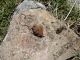 DSC01003.JPG