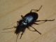 DSC01024.JPG