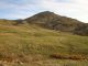 DSC00857.JPG