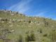 DSC00873.JPG