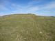 DSC00869.JPG