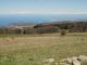 DSC01000.JPG
