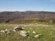 DSC00870.JPG