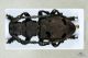 2012_04_25_03328.jpg