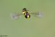 DSC_3463pbase.jpg