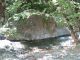 IMG_0309 (800x600) (640x480).jpg