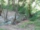 IMG_0316 (800x600) (640x480).jpg