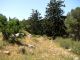 Forest_4 Region Kiryat Ata  26-04-2012.jpg