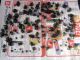 Scarabaeidae_2 2012-04-21 Hermon.jpg