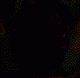 skull+crotal.gif