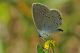 28 04 2012 Piedipaterno  (46.jpg