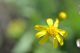 DSC_0011a.JPG