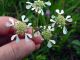 DSCN3758.JPG