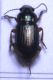 DSCN9914 - Copia.JPG