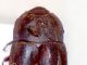 Immagine 297.jpg