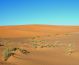 Merzouga_dune 01.jpg