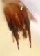 DSCN0762.JPG