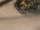 DSCN0783.JPG