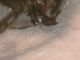 DSCN0784.JPG