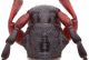 Dorcadion pedestre-01.JPG