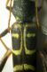 DSCN6288.JPG