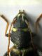 DSCN6289.JPG